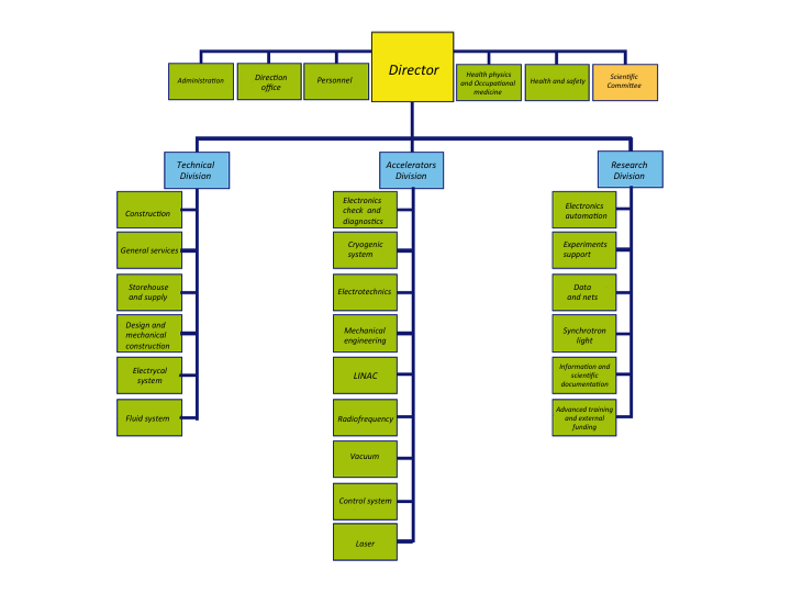 chart-organization