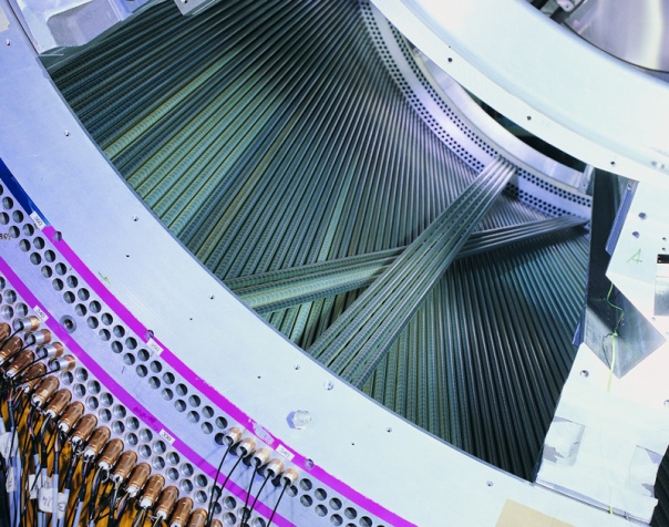 LNF_IMG_00004366